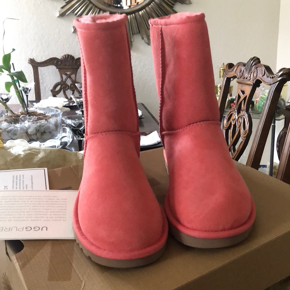 Brand new women’s short classic uggs